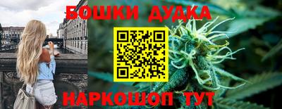 индика Бийск