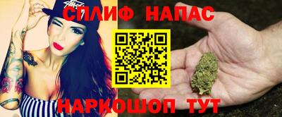 индика Бийск