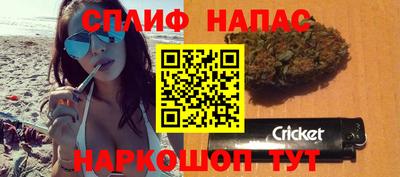 индика Бийск