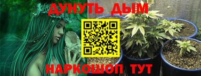 прущие крисы Заводоуковск