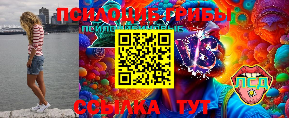 Галлюциногенные грибы Psilocybine cubensis Лабинск