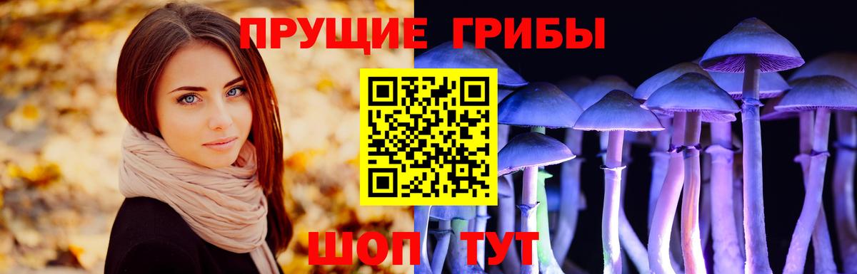 Галлюциногенные грибы прущие грибы  Вход с VPN  Лабинск  Галлюциногенные грибы мухоморы 
